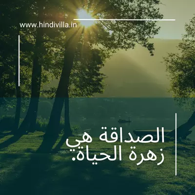 Arabic Quotes for Instagram Bio Copy and Paste