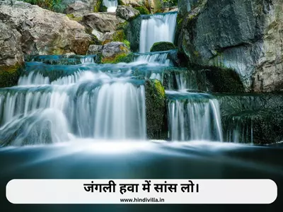 Nature Captions for Instagram in Hindi