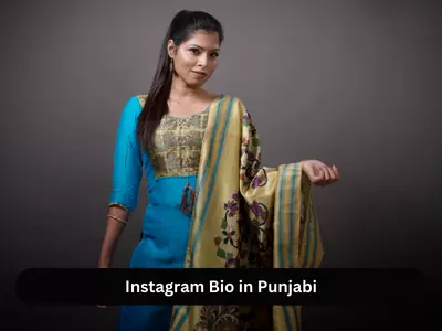 Instagram Bio in Punjabi