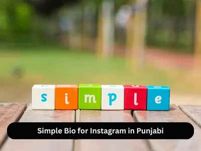 Simple Bio for Instagram in Punjabi
